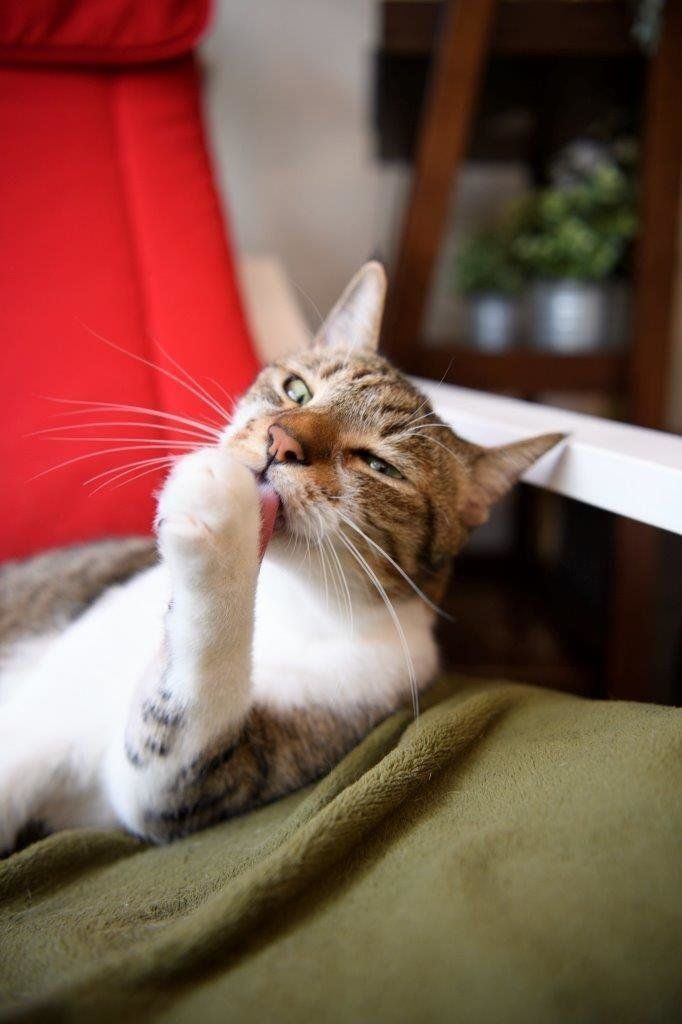 撮影／Akimasa Harada