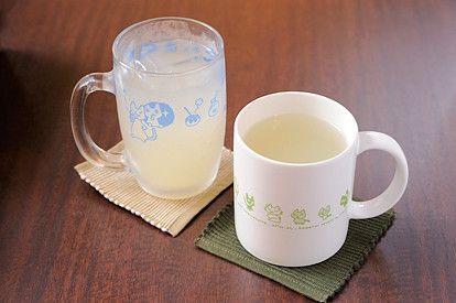 東京　町田　猫カフェ　ねこのみせ