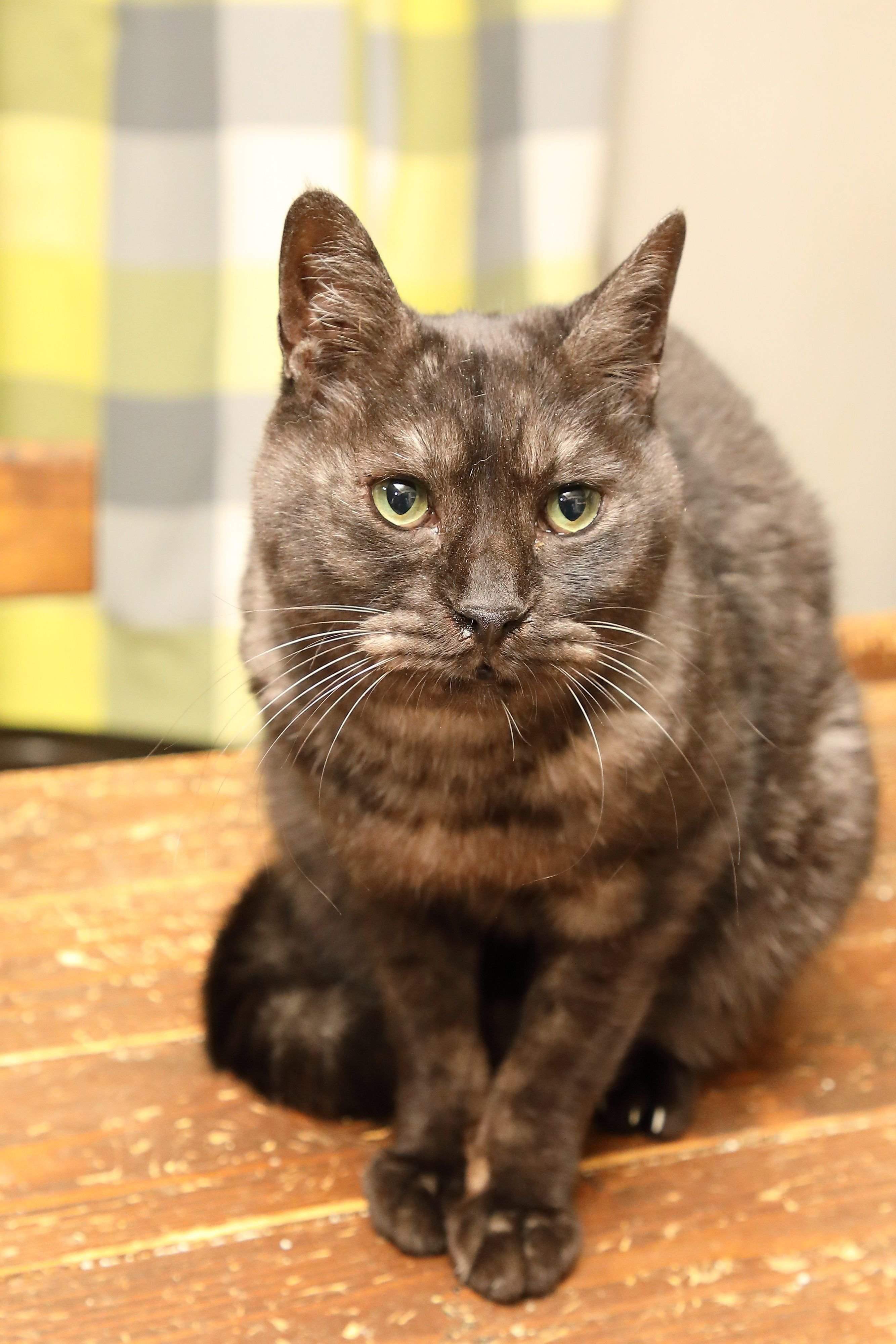 撮影／尾﨑たまき