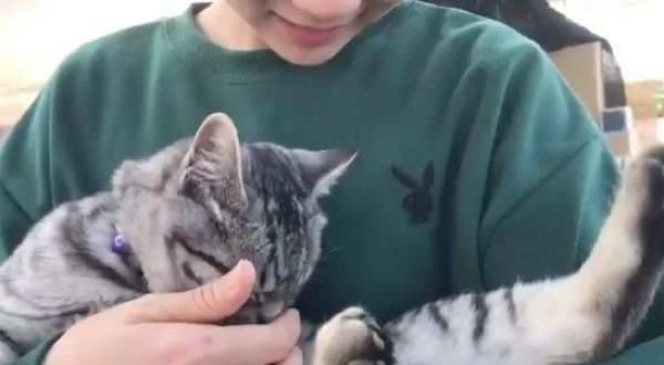 女子高生に抱っこされるコタローくん