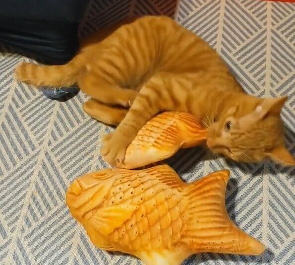 たいやきクッション