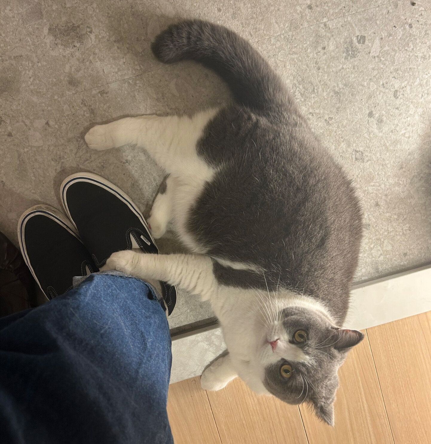 外出阻止をするもずくくん