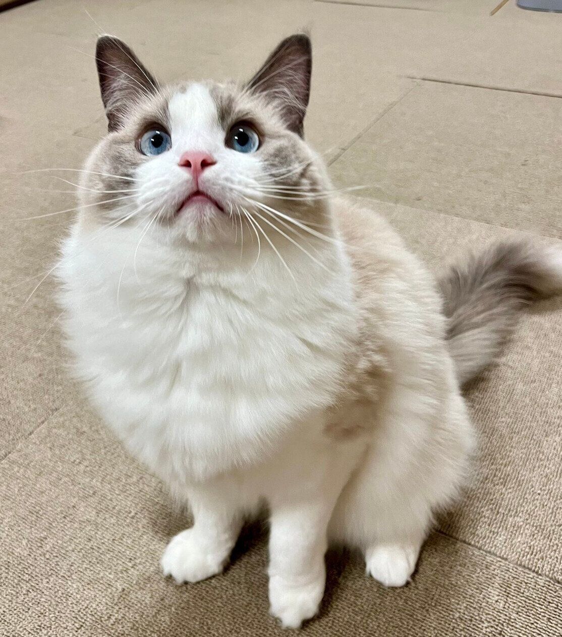 スクスクと成長中のソラくん