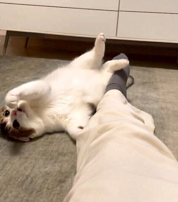 ズルッと滑るなぎちゃん