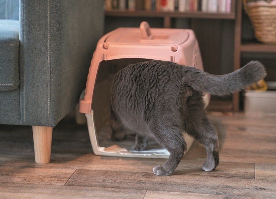 撮影／石原さくら