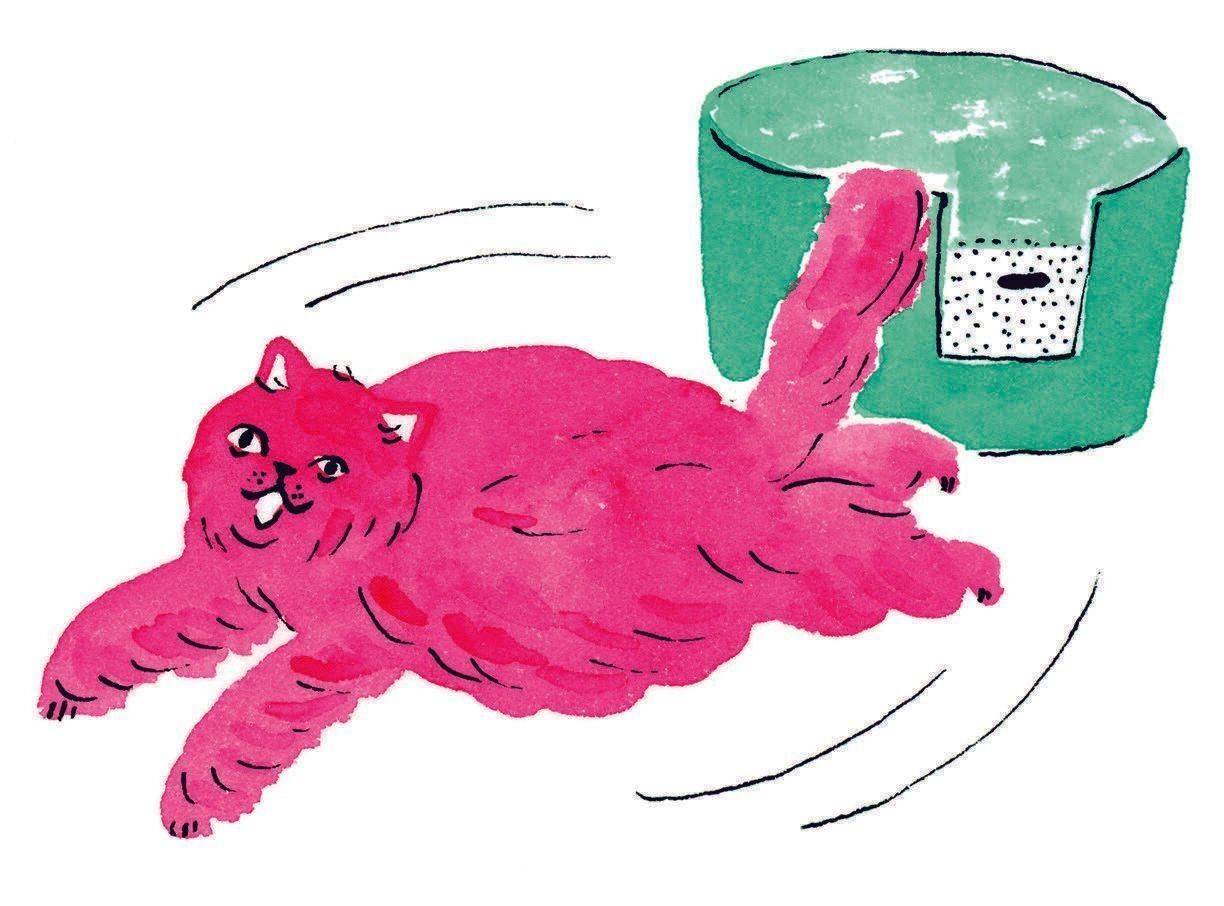 イラスト／ヤマグチカヨ