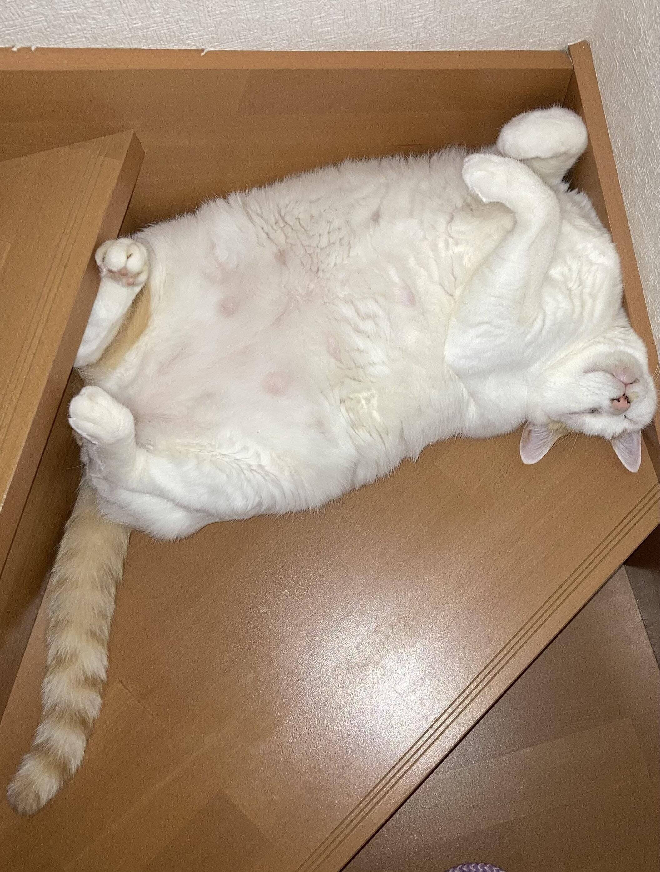 野花舎(のはなや)作品