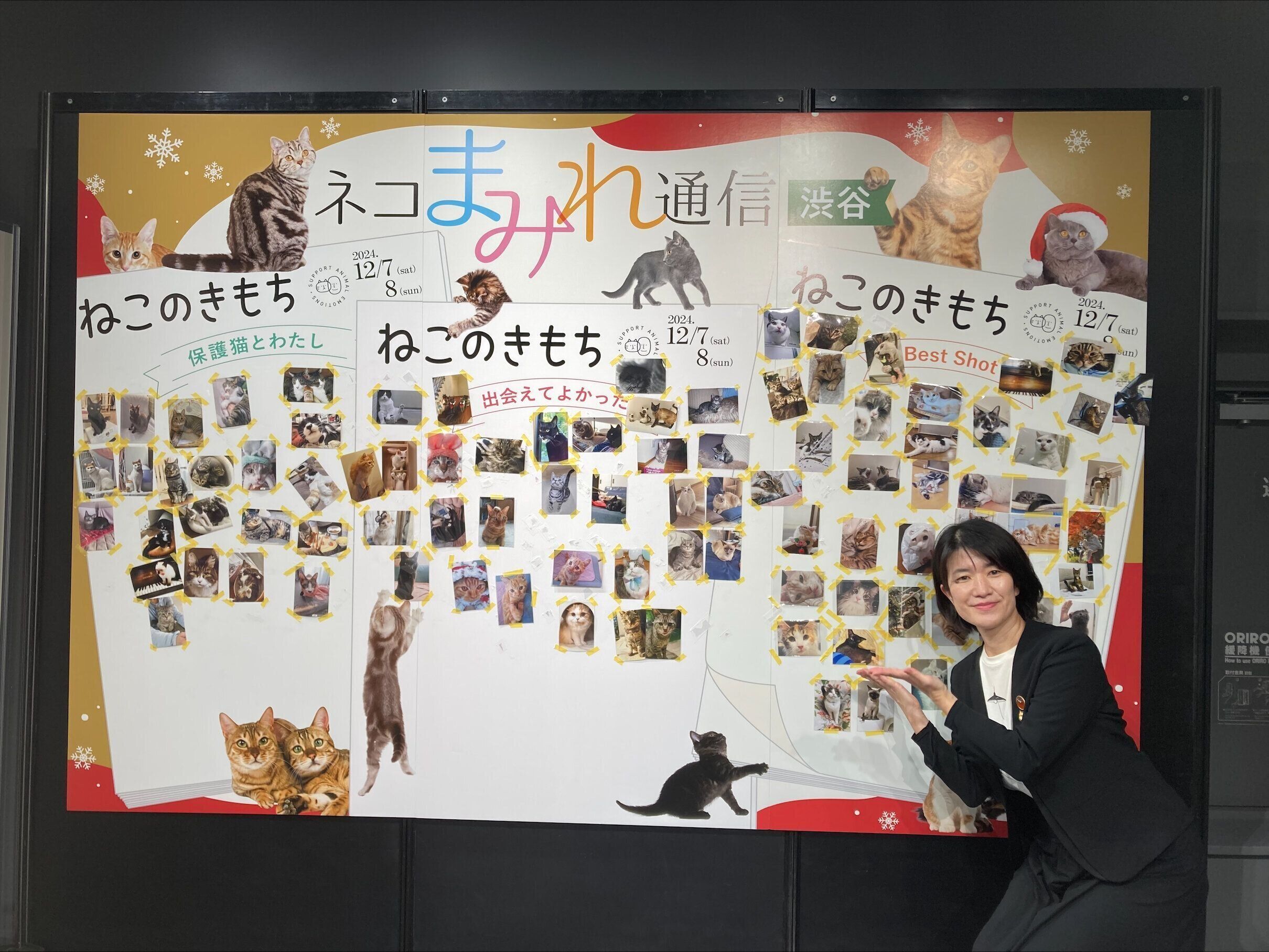 ネコまみれ通信画像