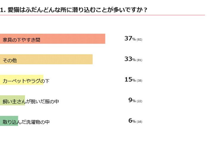 愛猫はどんな所に潜り込む?