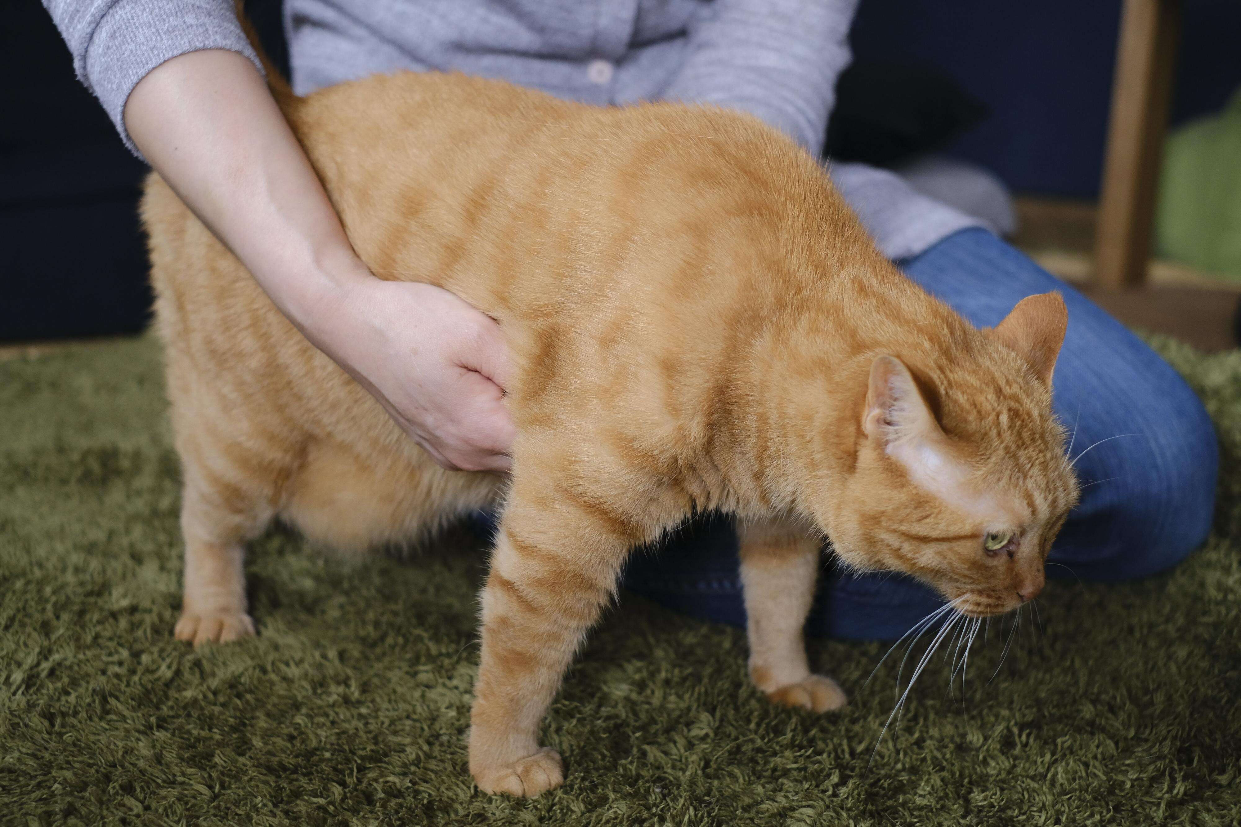 撮影／Akimasa Harada