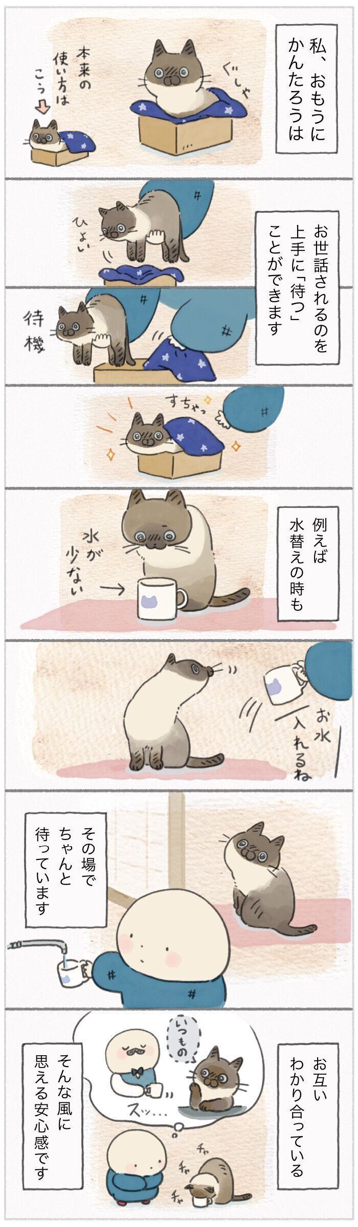 「ねこ連れ草」272話め