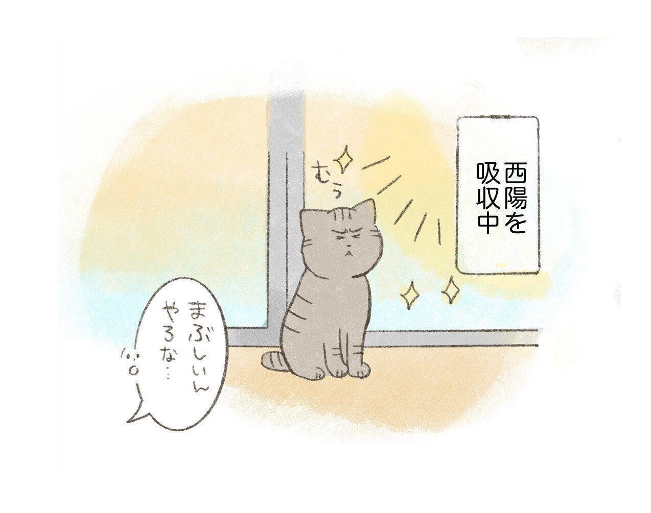 ♡ねむり猫様確認ページ♡ ネコ様確認ページ
