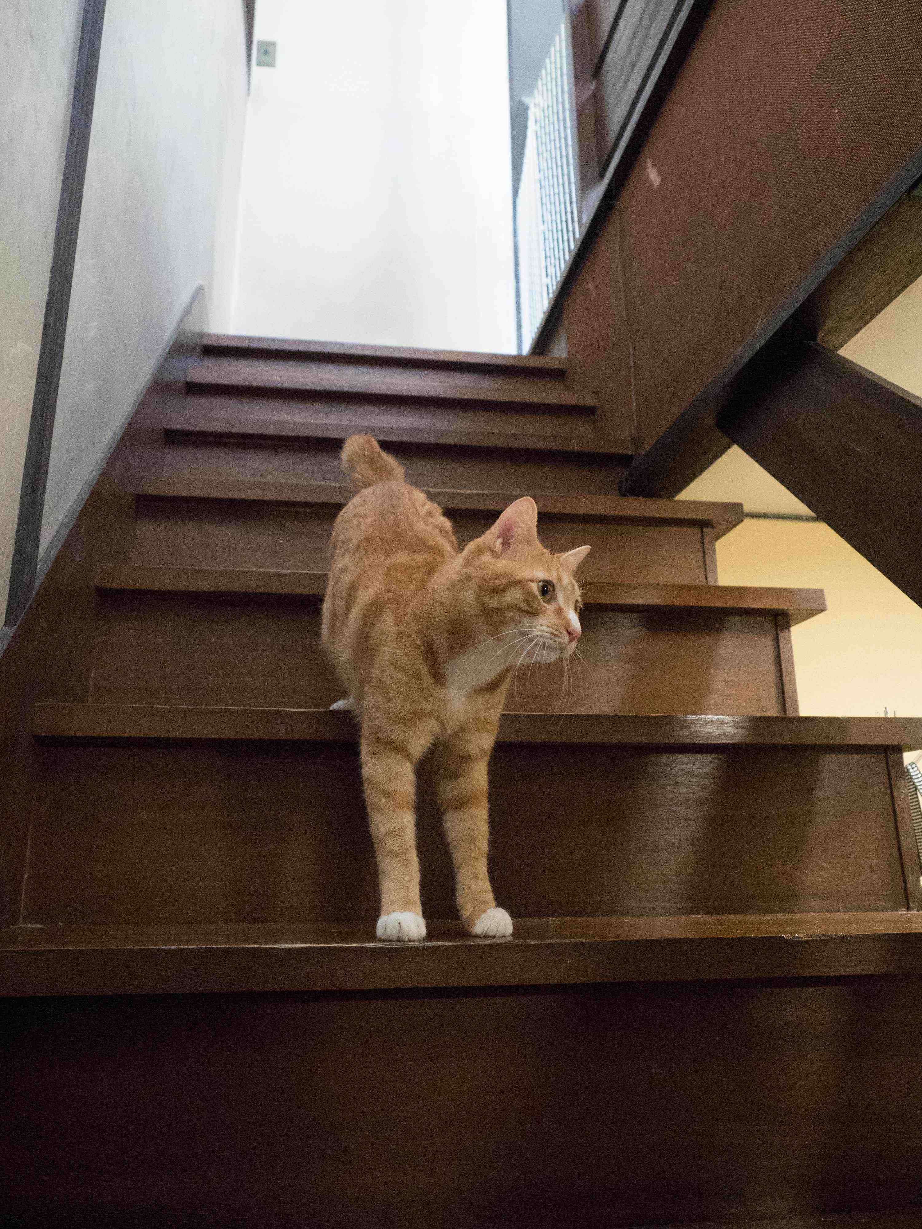 撮影／小森正孝