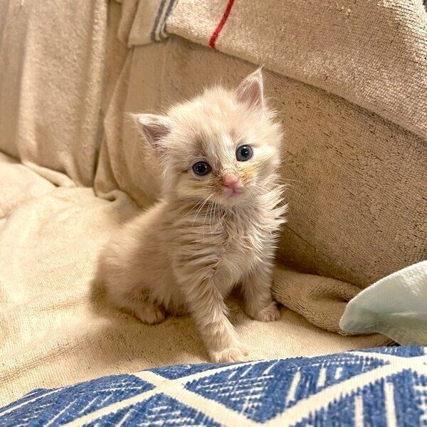 ちょこんと座るベルちゃん