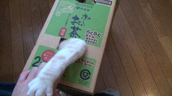 ニャンコ貯金箱