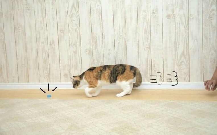 撮影／尾﨑たまき