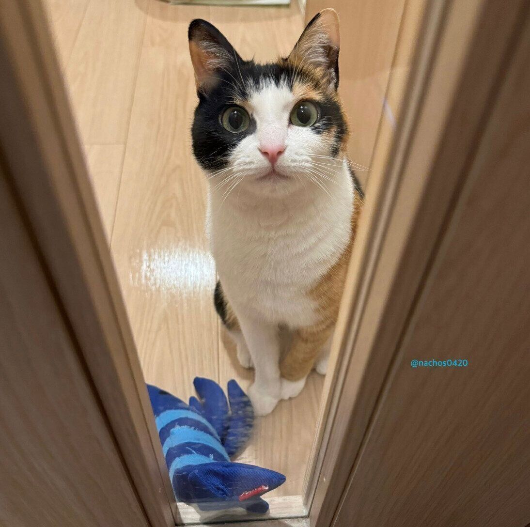 3才のころのなっちゃん。