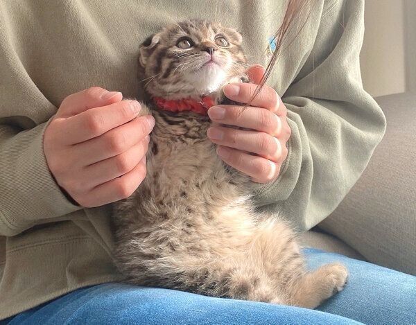 抱っこが大好きなまつたけちゃん