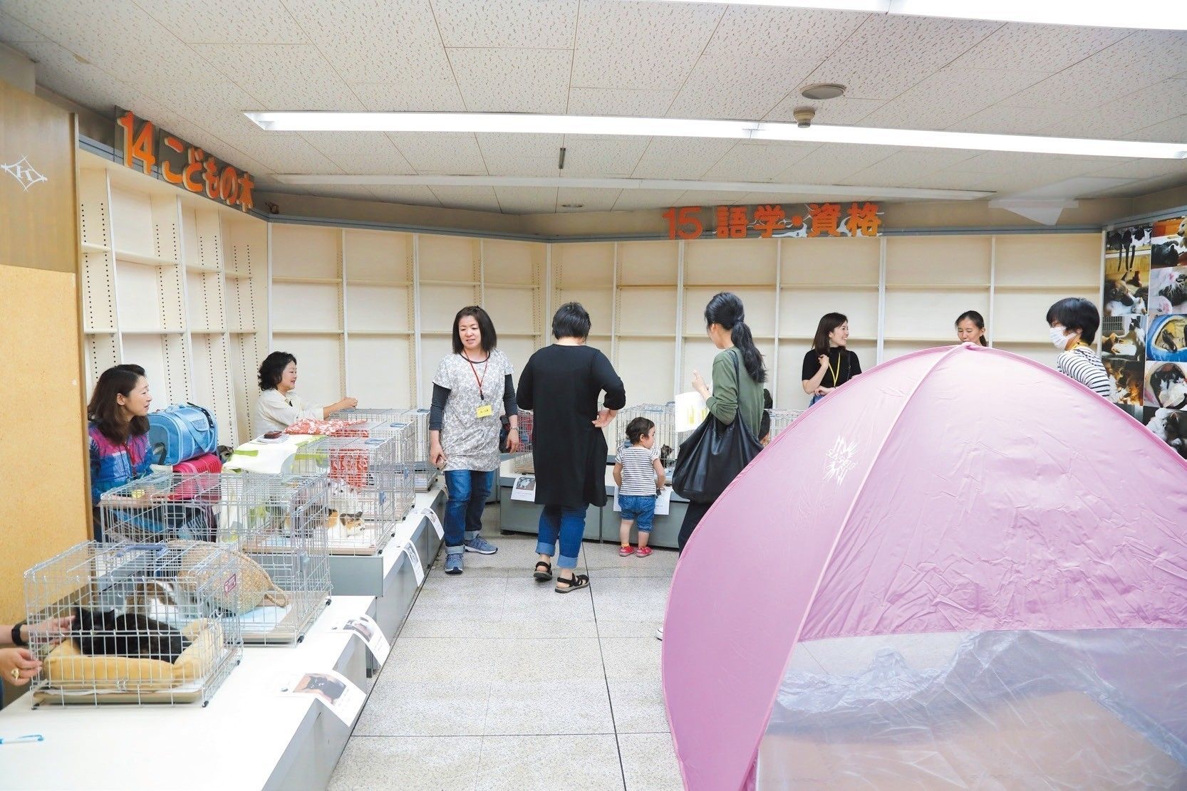 撮影／尾﨑たまき