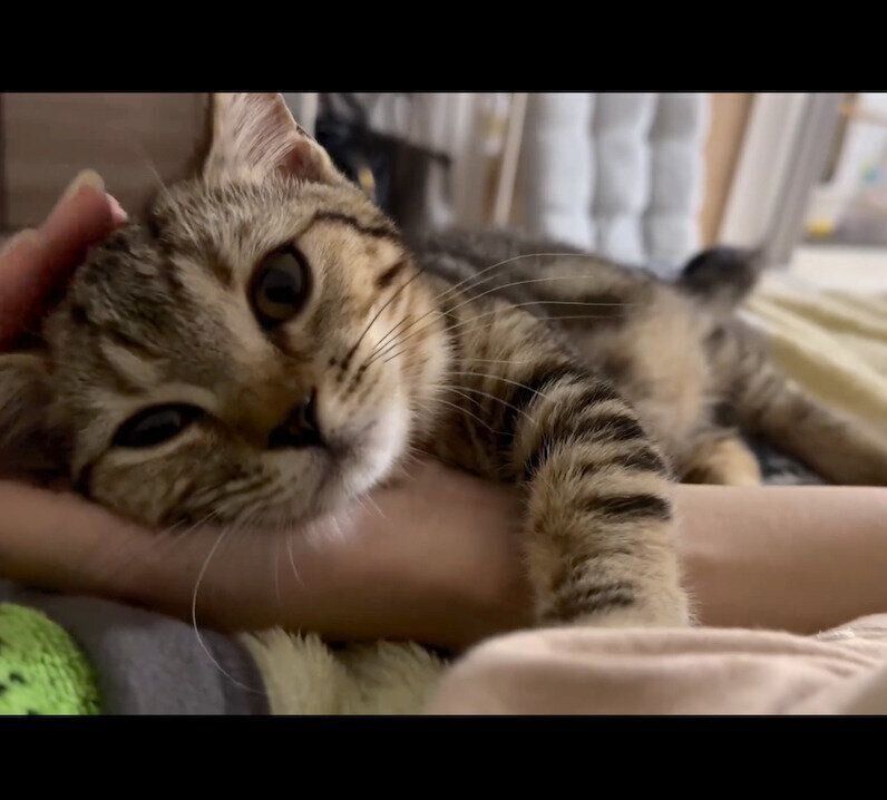 甘えるなぎちゃん