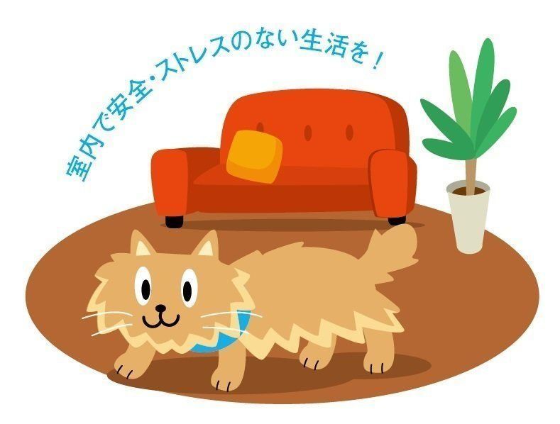 イラスト／石川日向