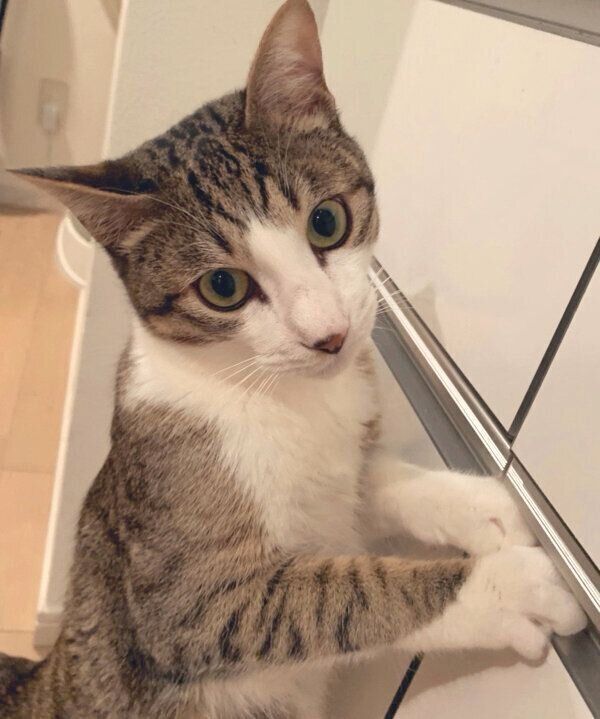 おねだりするあめくん