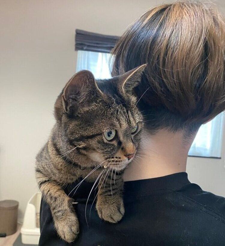 飼い主さんの肩に乗るおはぎちゃん