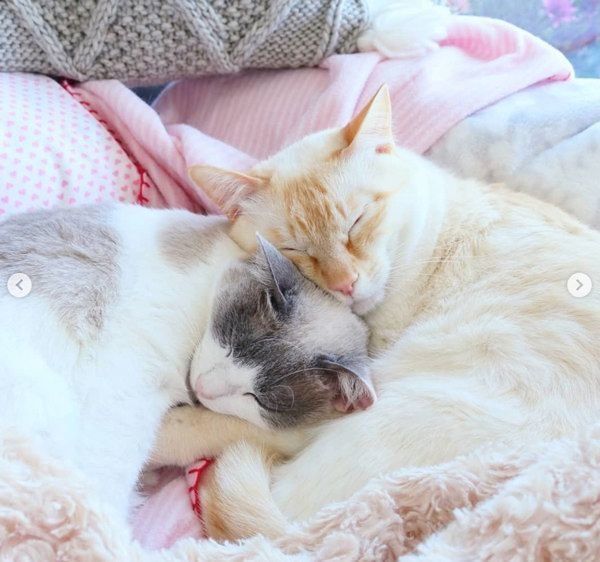 寄り添うチャコたんとすず香ちゃん