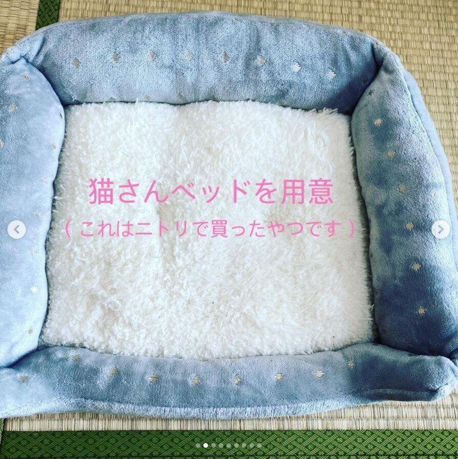 猫用ベッド（ニトリ）