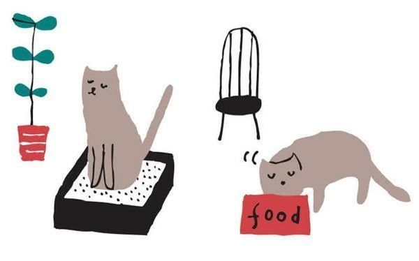 飼い主さんが気になる"おひとり猫"に関するアレコレ