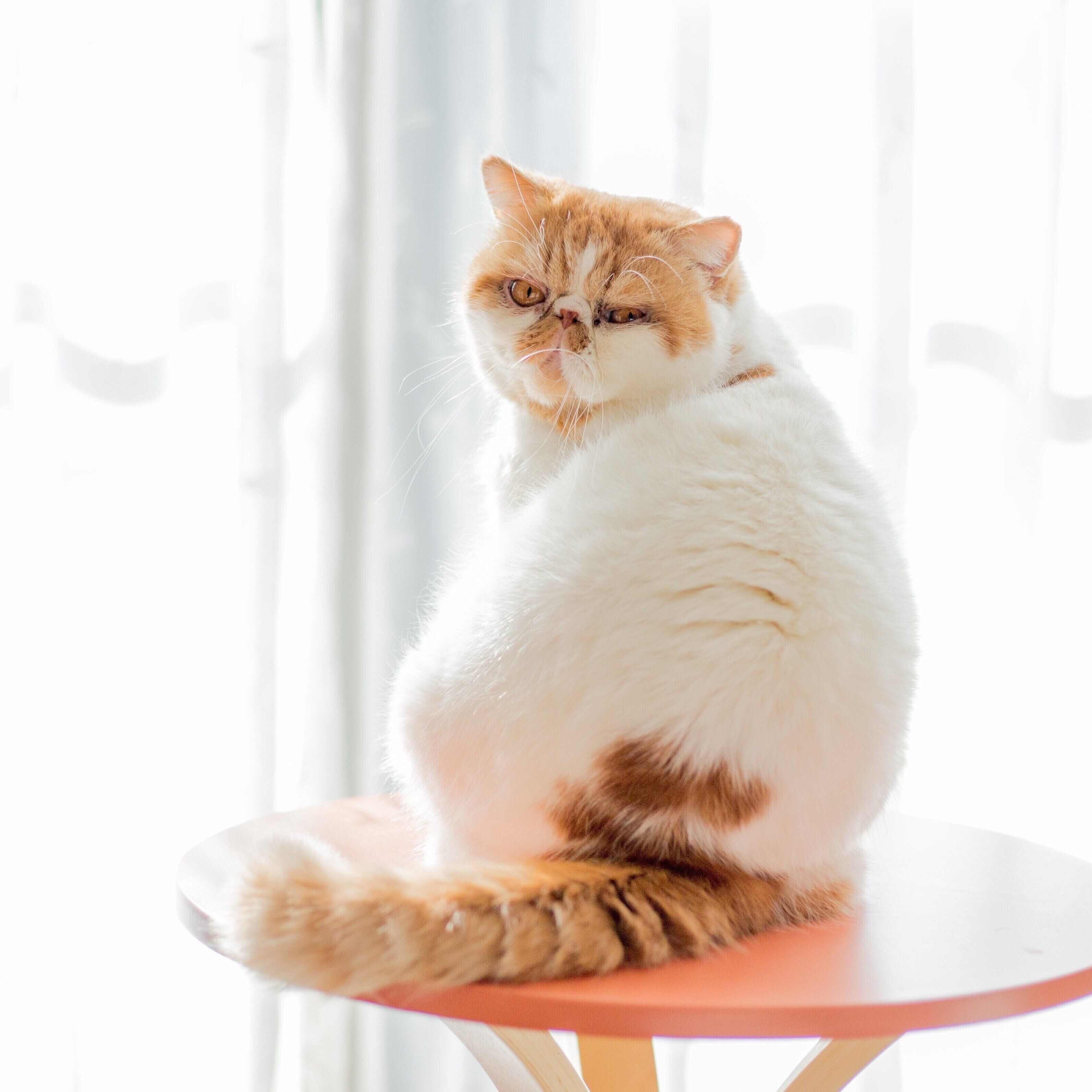 撮影／長谷川里美