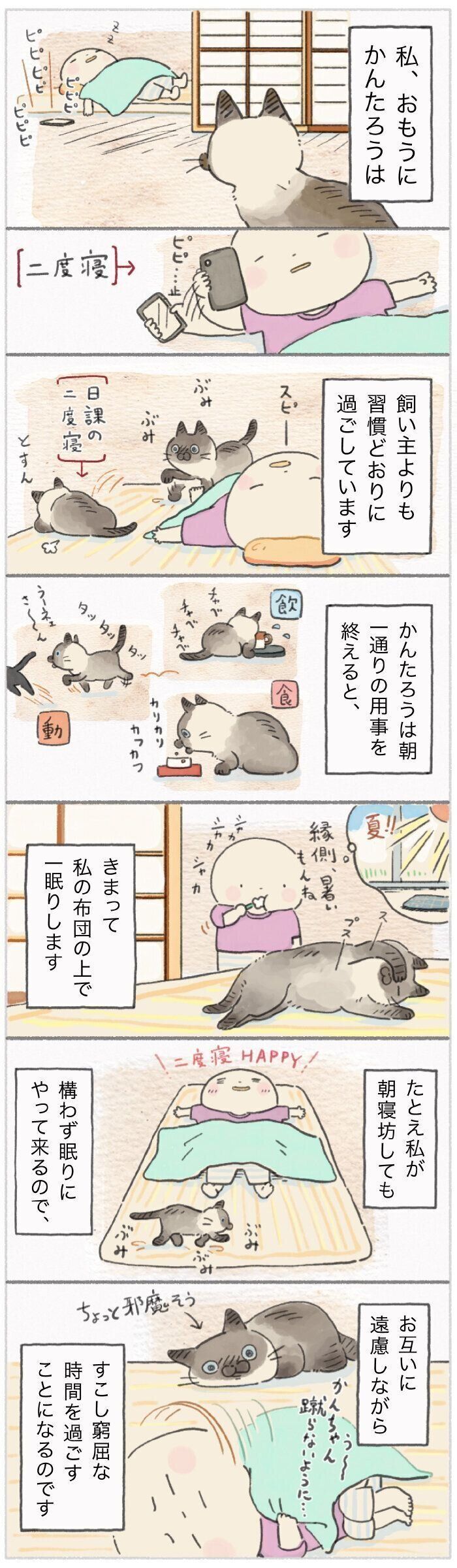 「ねこ連れ草」187話め