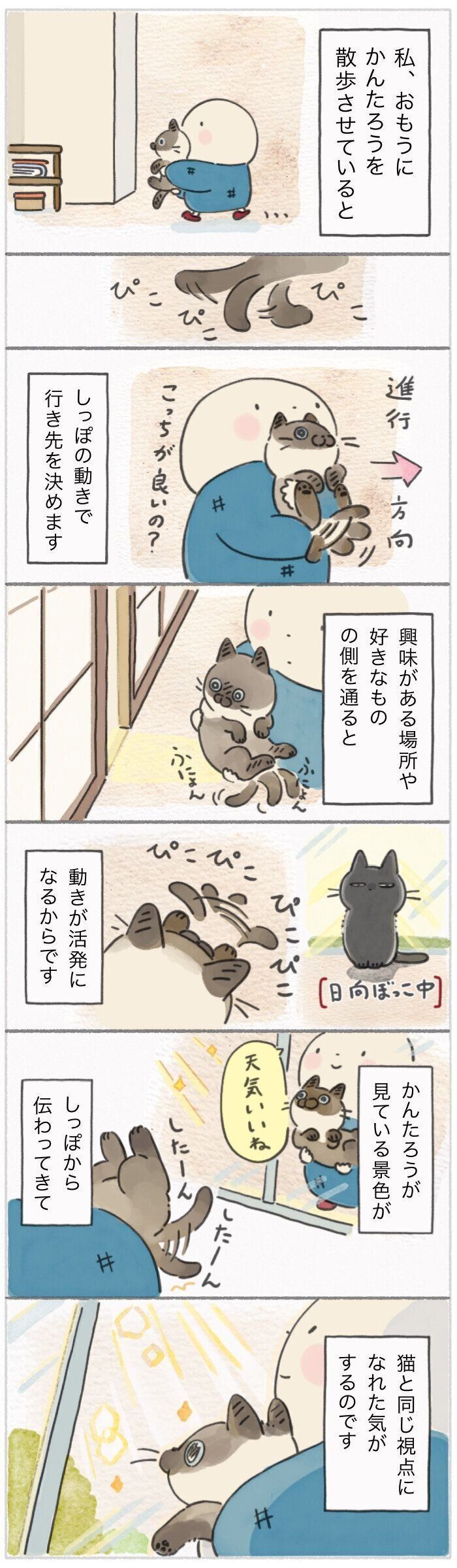 「ねこ連れ草」300話め