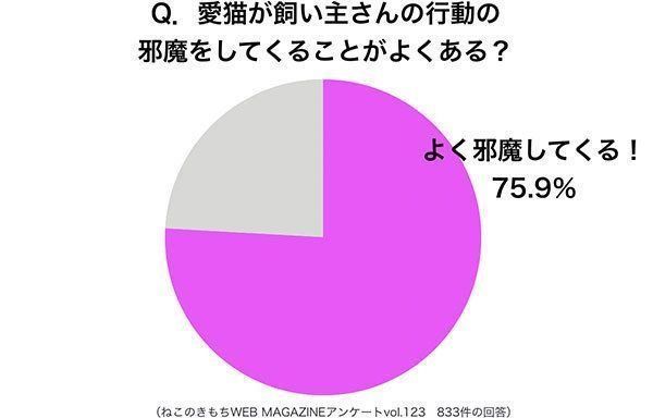 グラフ：愛猫が飼い主さんの行動の邪魔をしてくることがよくある？