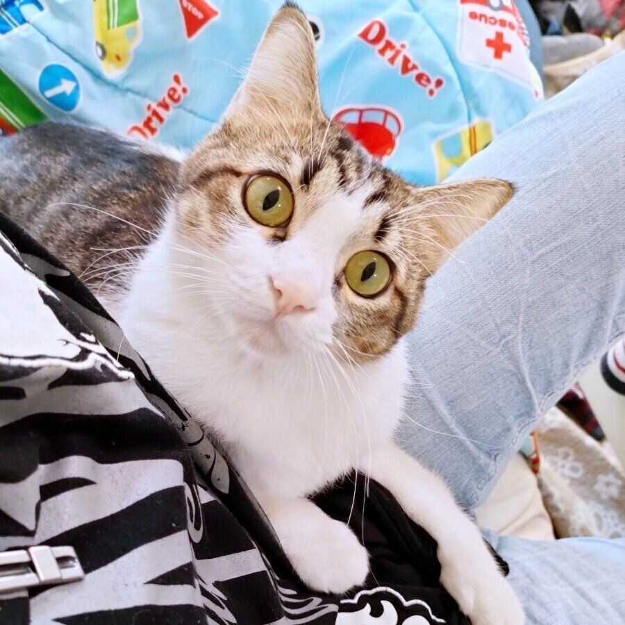 カメラを見つめるうにくん