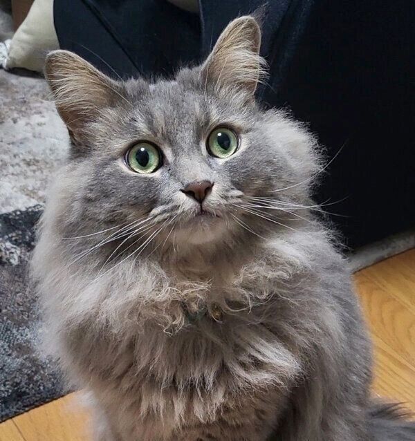 見つめる睦くん