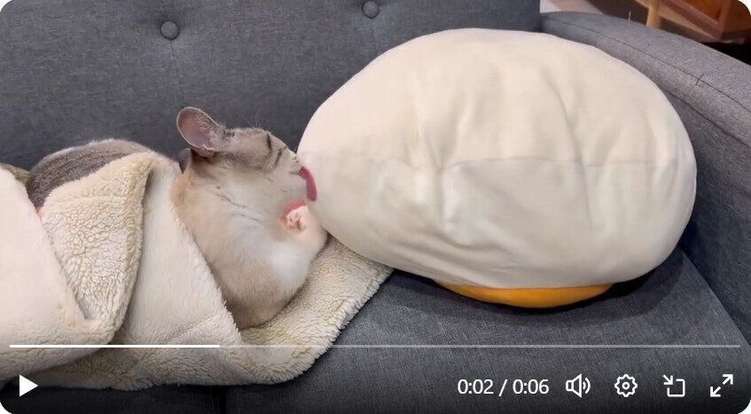 寝起きのういろうくん