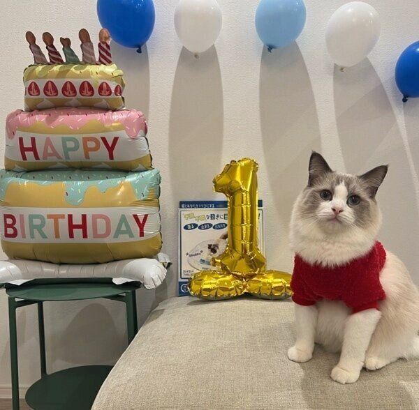 1才になったはりーくん