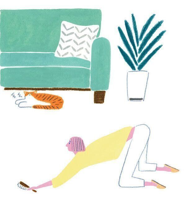 お手入れを嫌がる猫