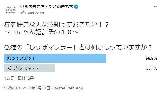 「しっぽマフラー」についてのアンケート結果