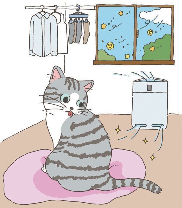 イラスト／野田映美