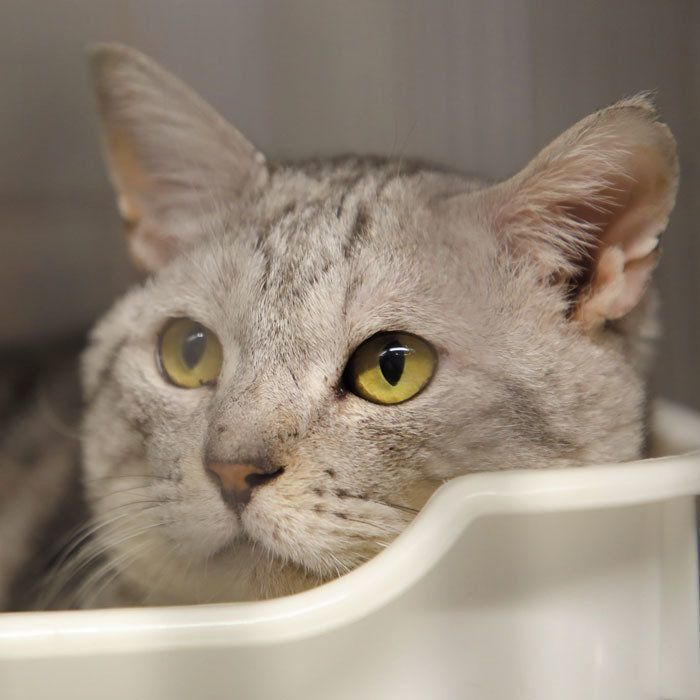 撮影／尾﨑たまき