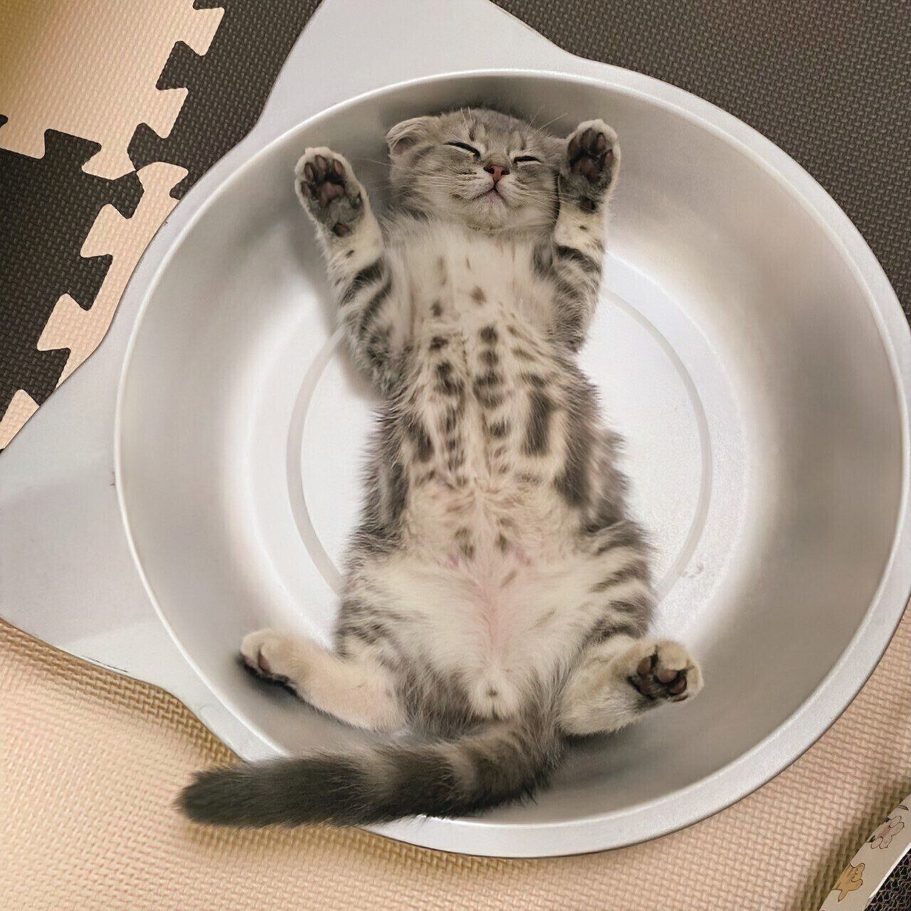 生後2カ月のころに撮影したまんぼうくん