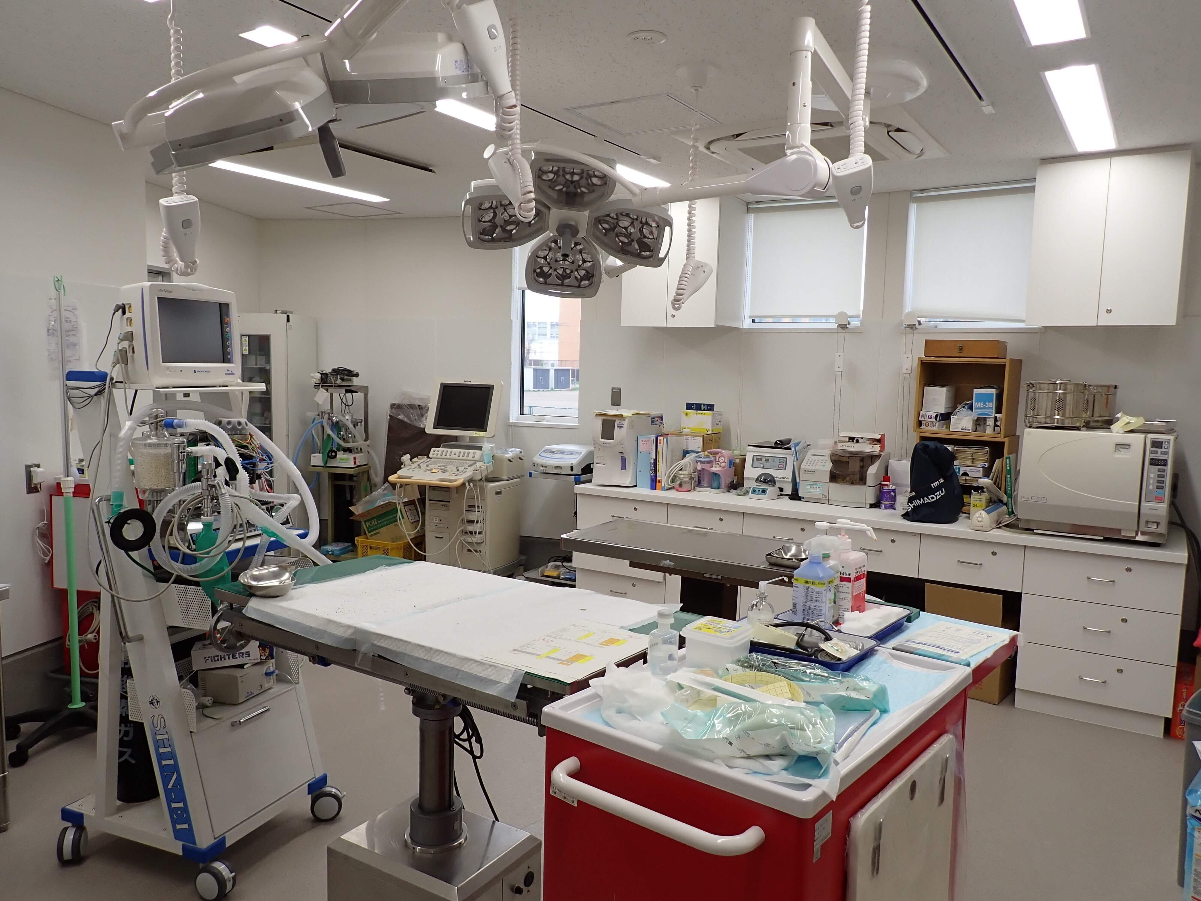 写真提供／札幌市動物愛護管理センター「あいまる さっぽろ」