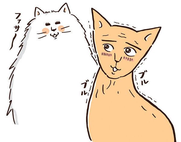 寒がりなスフィンクス