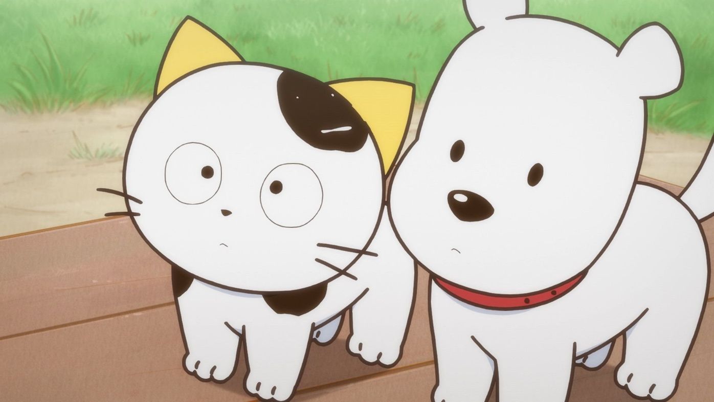 ねこを飼うのは大変 猫男子の 理想と現実 Tvアニメ うちタマ 人気声優の本音 ねこのきもちweb Magazine ねこを飼うのは大変 猫男子の 理想と現実 Tvアニメ うちタマ 人気声優の本音 ねこのきもちweb Magazine