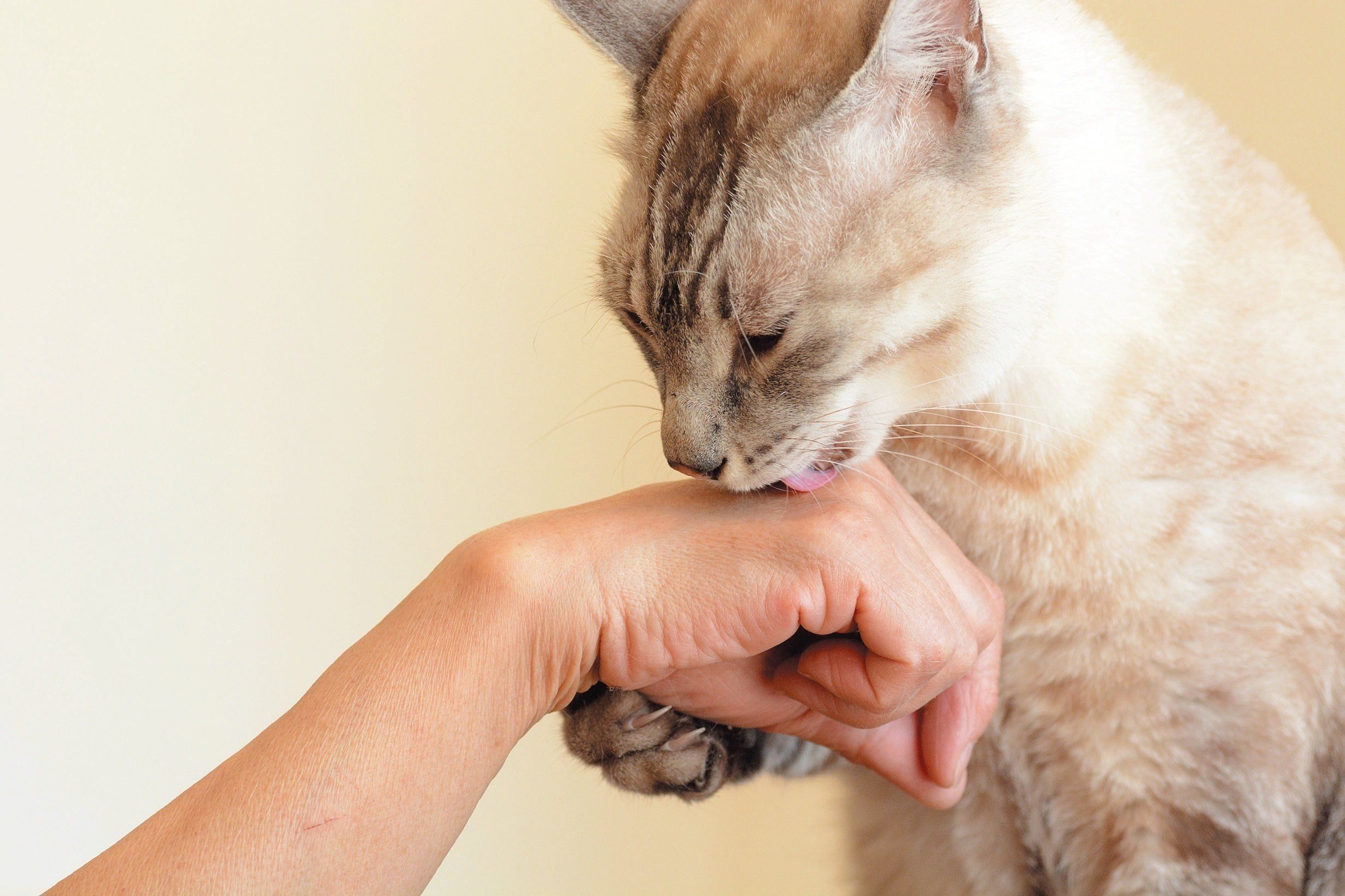 撮影／栗林　愛