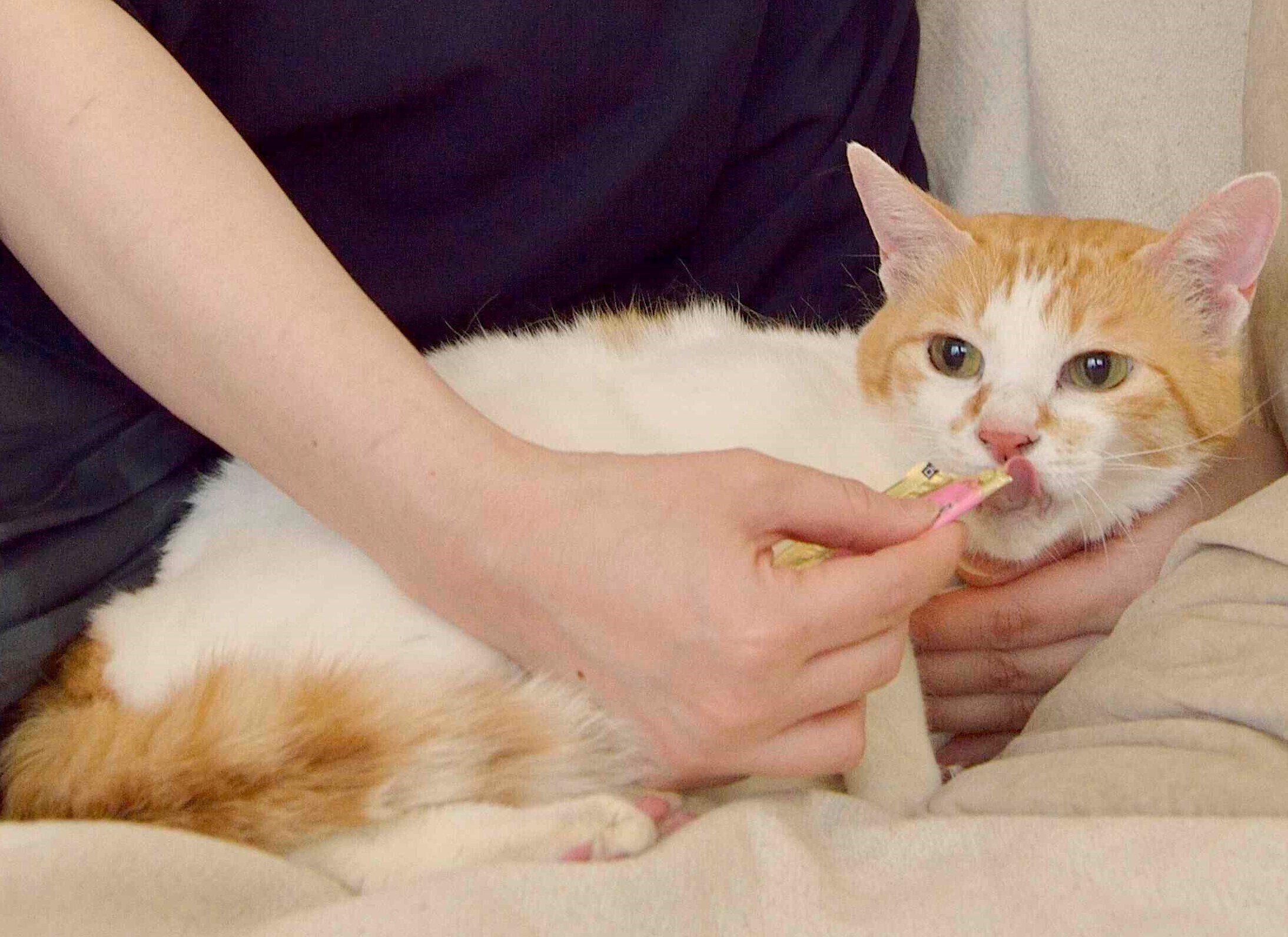 撮影／奥山美奈子