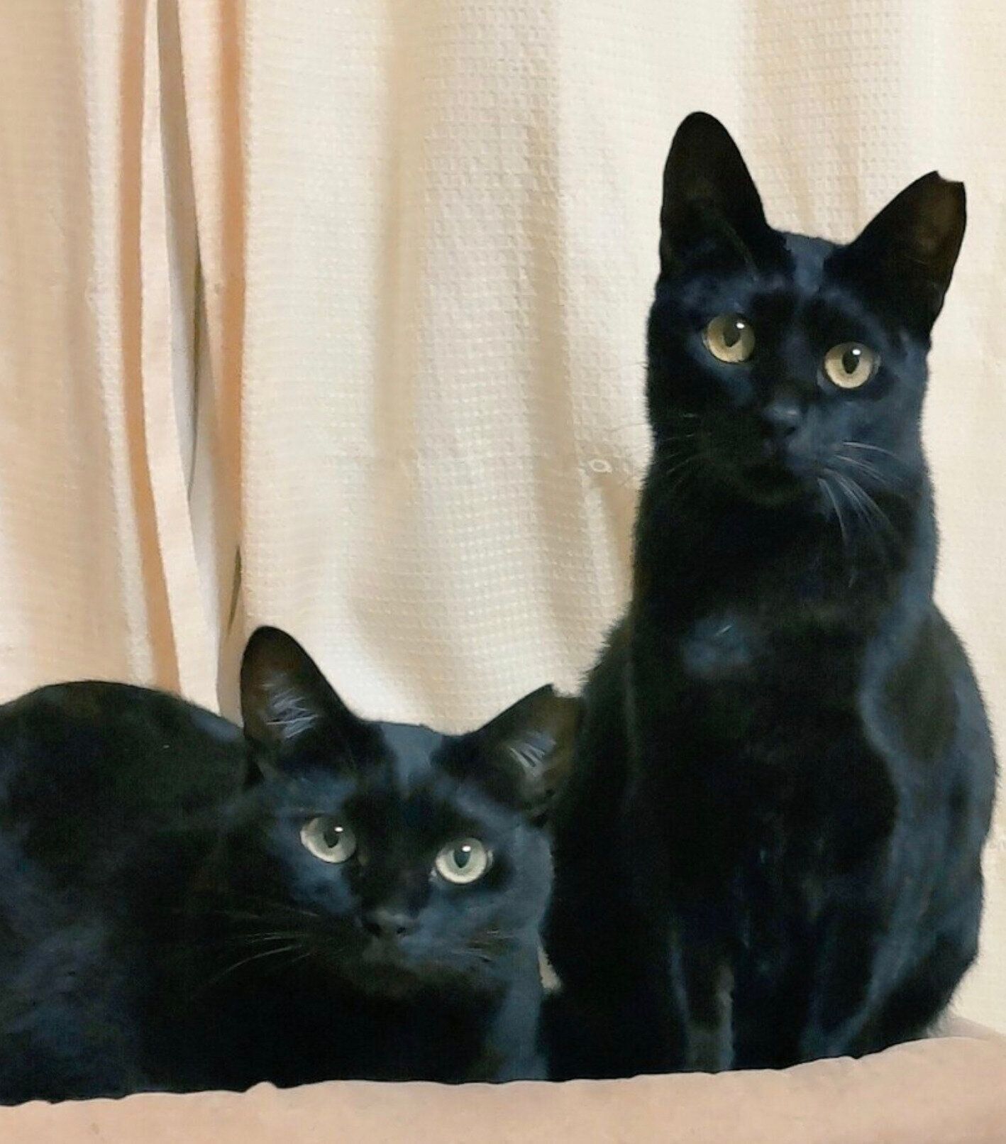 フクちゃんとマサちゃん