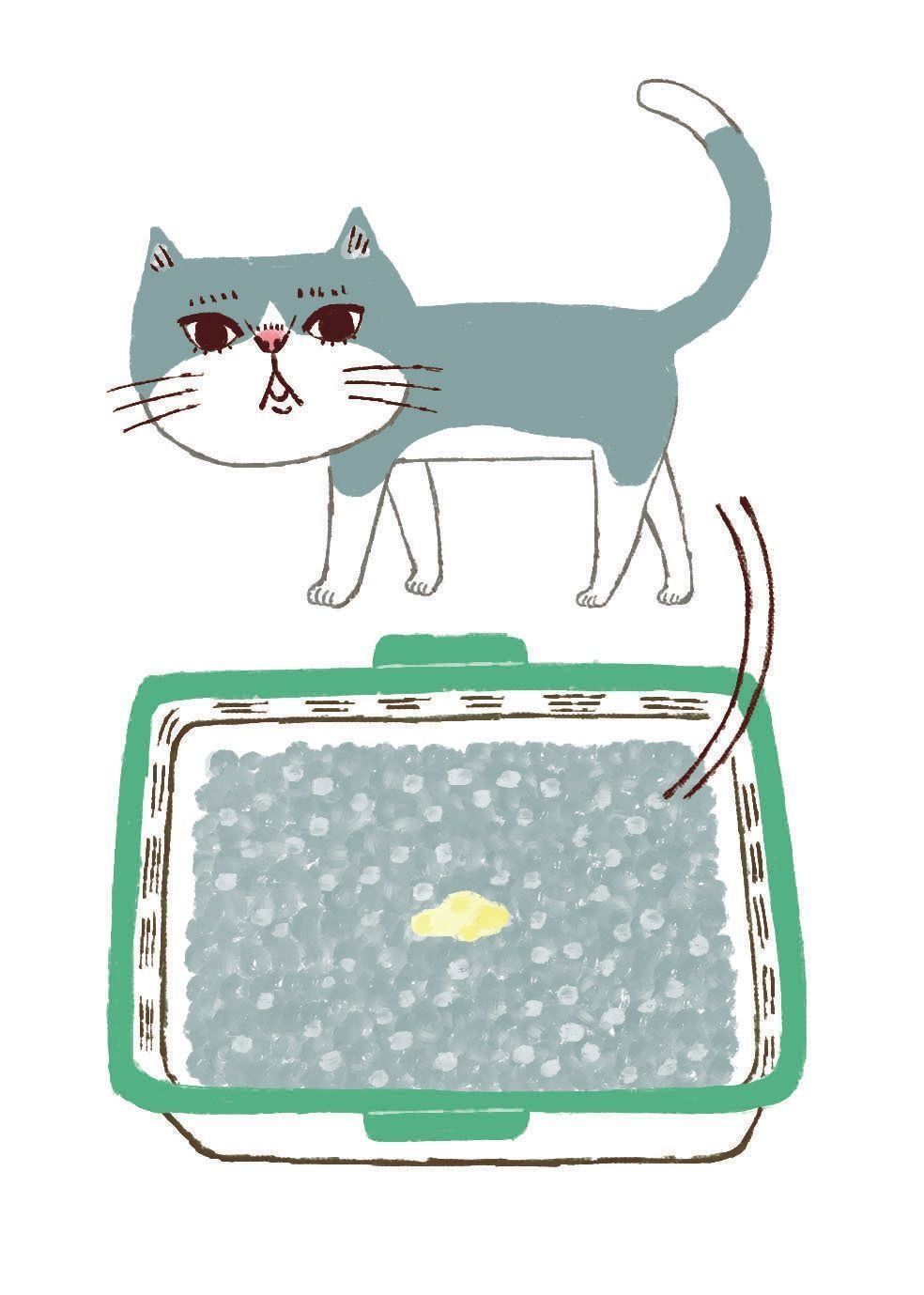 イラスト／Studio CUBE.